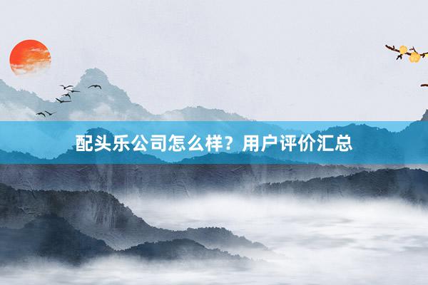 配头乐公司怎么样？用户评价汇总