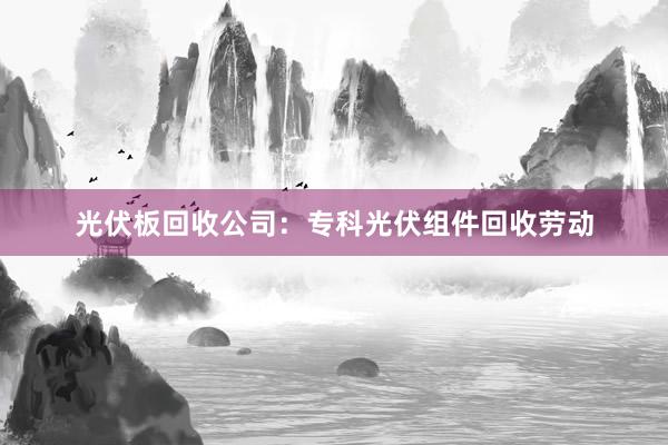 光伏板回收公司：专科光伏组件回收劳动